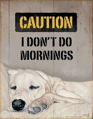 Tin Sign -Caution I Don't Do Mornings