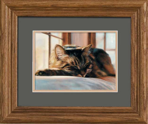 Sleeping Kitten Frame Art