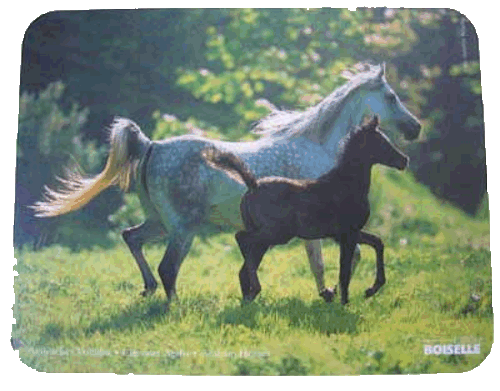 Arab Mare and Foal Mouse Pad