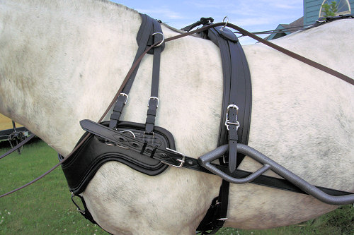 Comfy Fit Harness Breast Collar and saddle