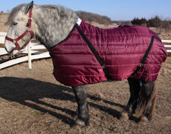 Pony stable blanket (draft horse shown)