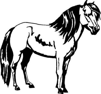 Black mini horse decal