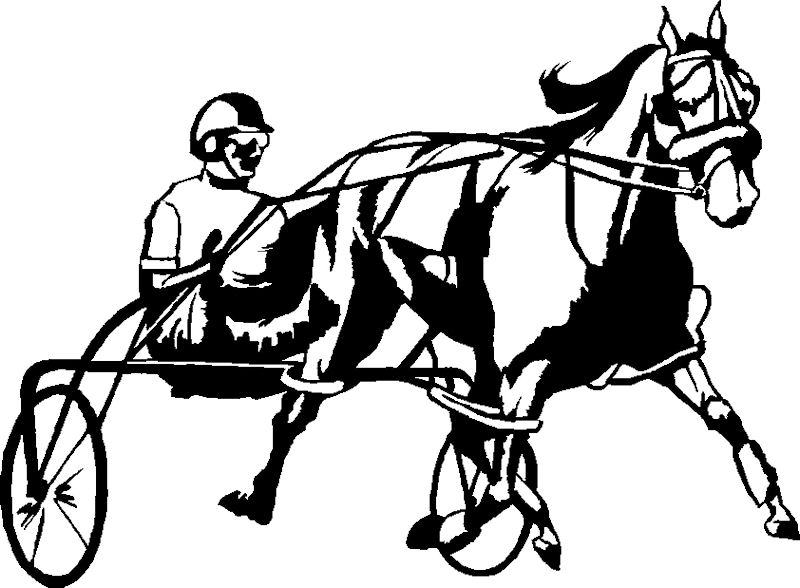 Black harness horse decal