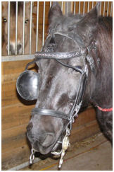 Bridle partially off, second crown holds it on