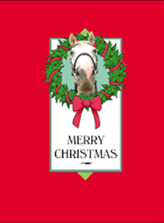 Horse Christmas Card