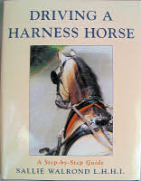 Driving a Harness Horse