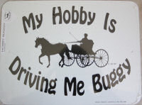Sign: My Hobby is Driving me Buggy