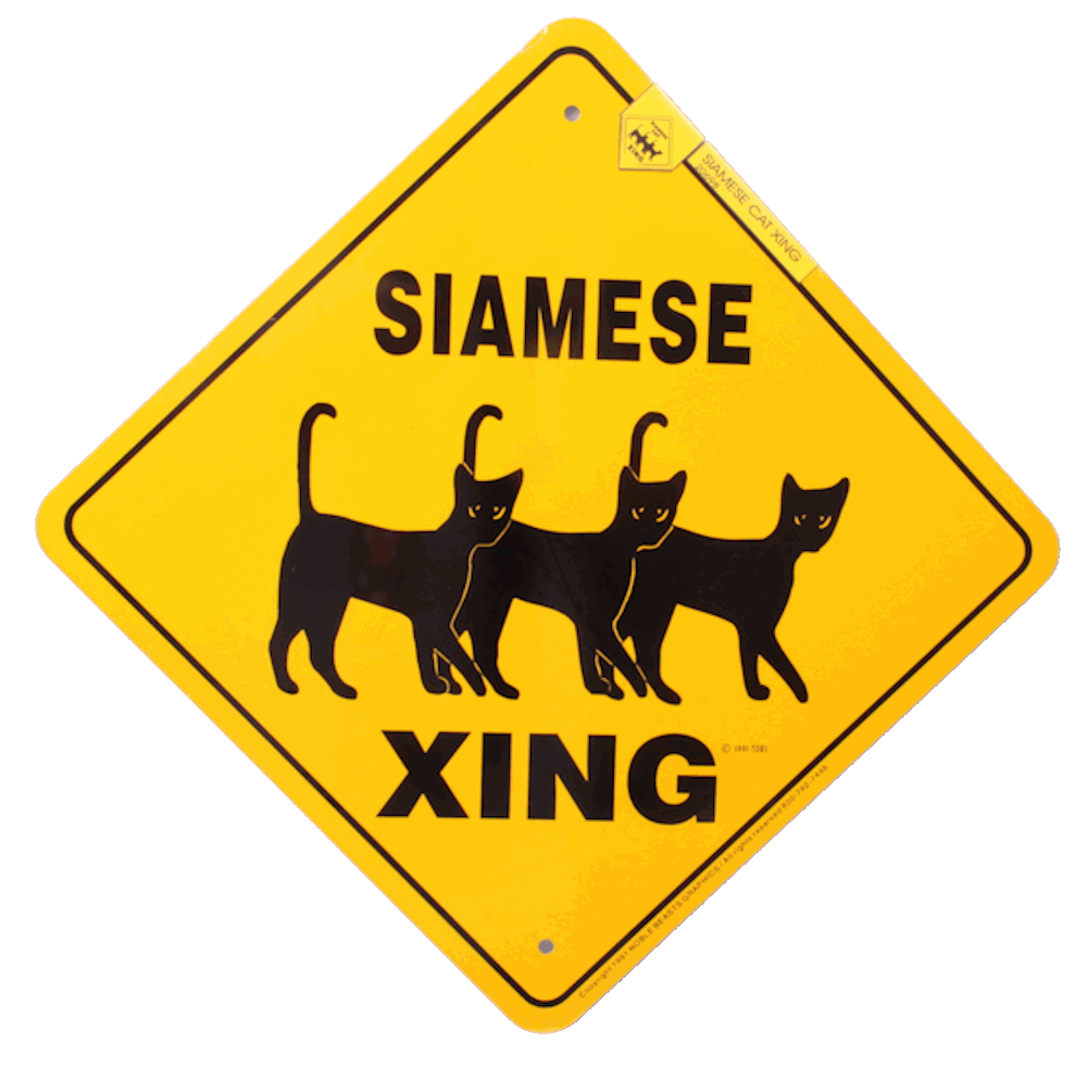 15.5" x 15.5" plastic funny Cat sign xing Crossings animal 