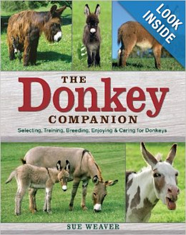 The Donkey Companion
