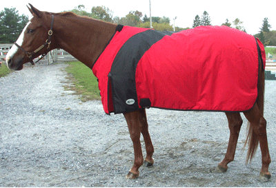 Horse Blankets - Sheets