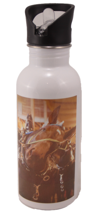 Percheron Horse Head Aluminum Water Bottle