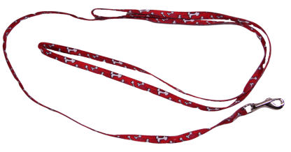 Pet Attire 6' Red Bones Nylon Dog Leash, 3/8" Wide
