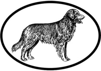 Haddington Green Golden Retriever Dog Black/White Oval Decal